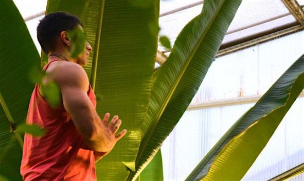 Do yoga with butterflies