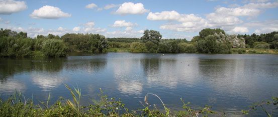 Lackford Lakes