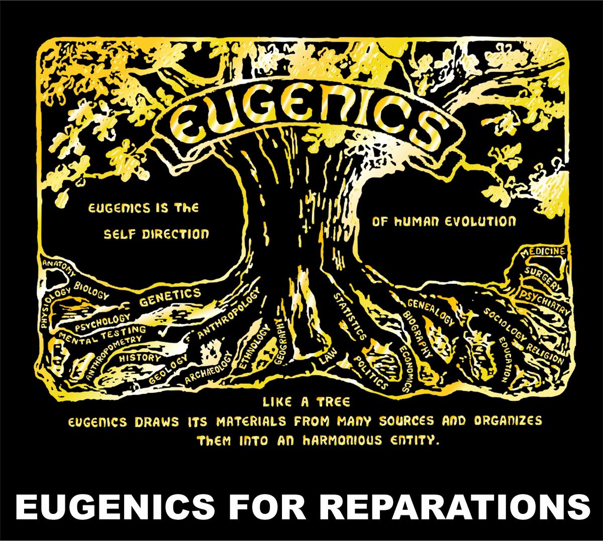 Master Race, Race Betterment, Eugenics, and Euthenics for world Justice
