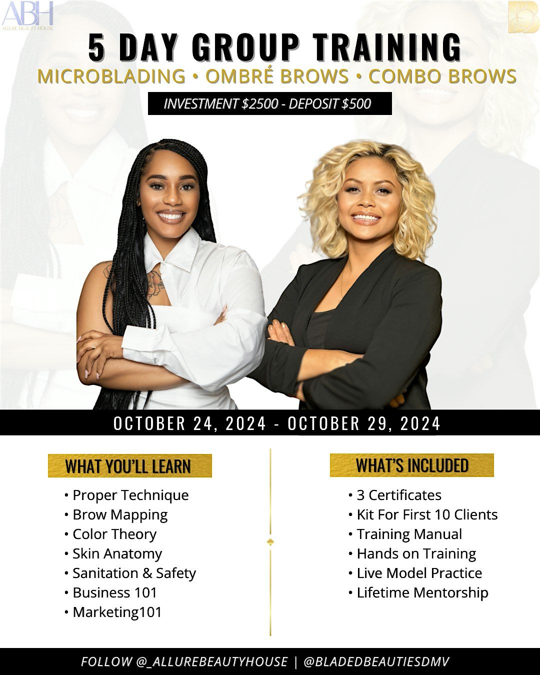 5 Day Group Training - Microblading | Ombre Brows | Combo Brows