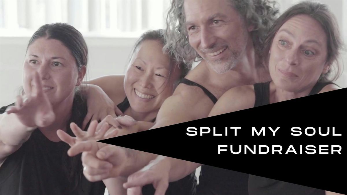 Split My Soul Fundraiser