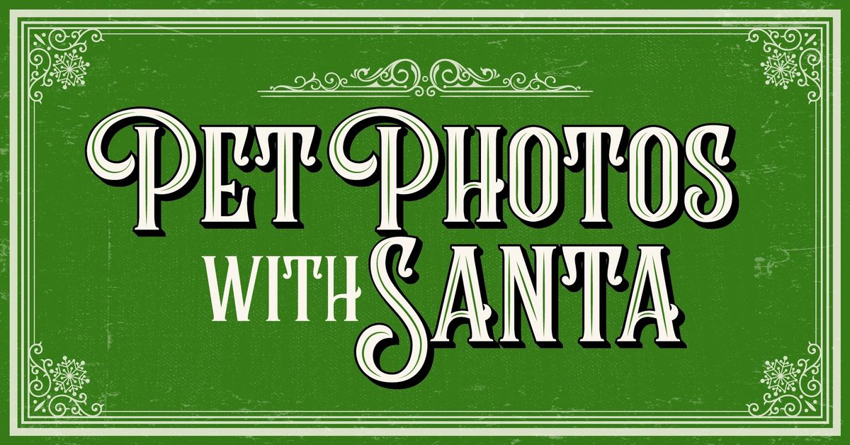 \ud83c\udf85\ud83d\udc36Pet Photos with Santa - Night 1