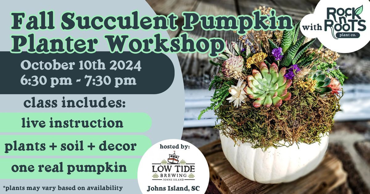 Fall Succulent Pumpkin Planter Workshop at Low Tide Brewing (Johns Island, SC)