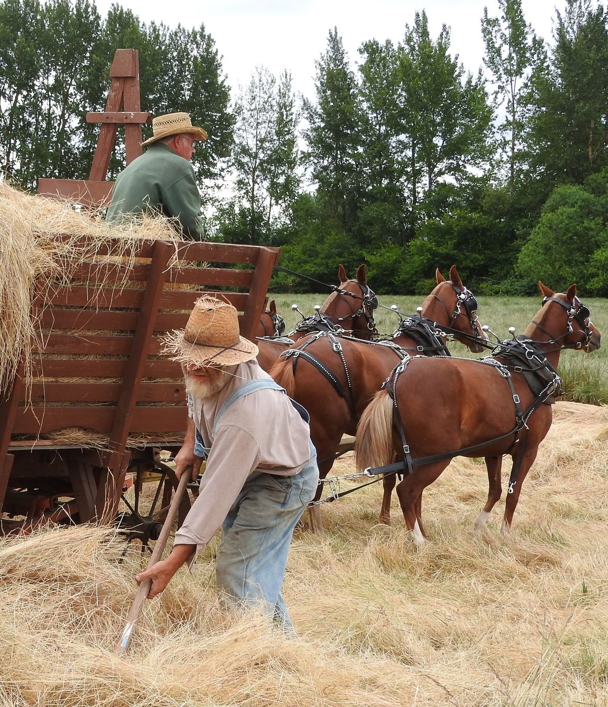 Hay Day Play Day & Vintage Base Ball