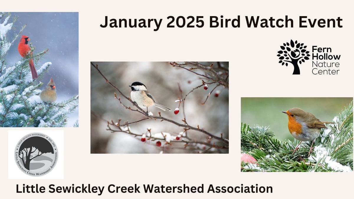 January 2025 Bird Watch Event