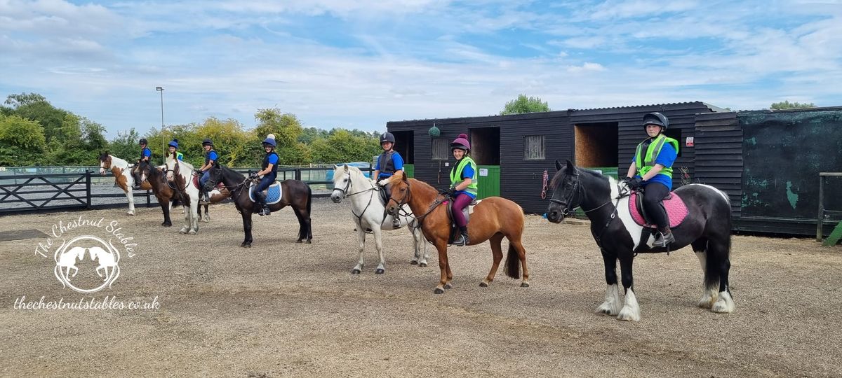 Equine Home Education Group 