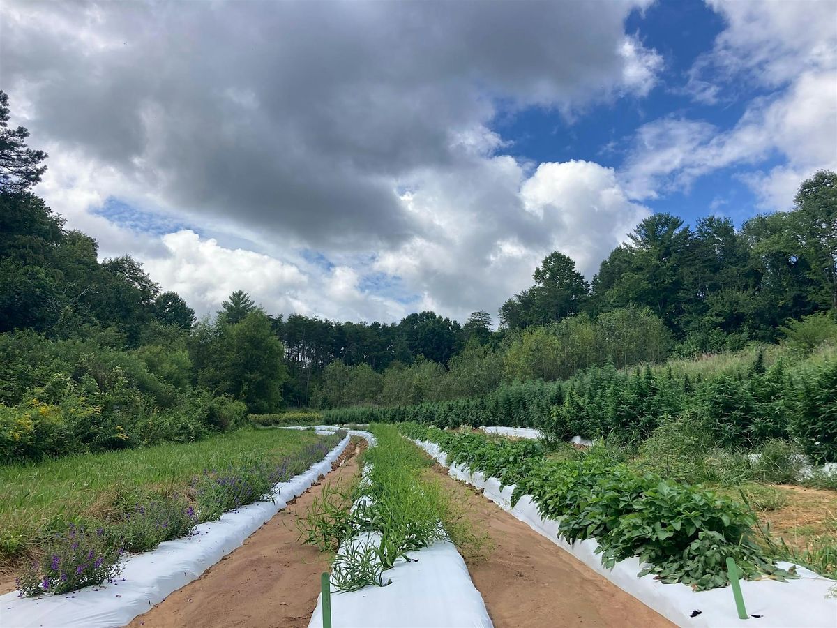 9th Annual NC Medicinal Herb Grower Buyer Event