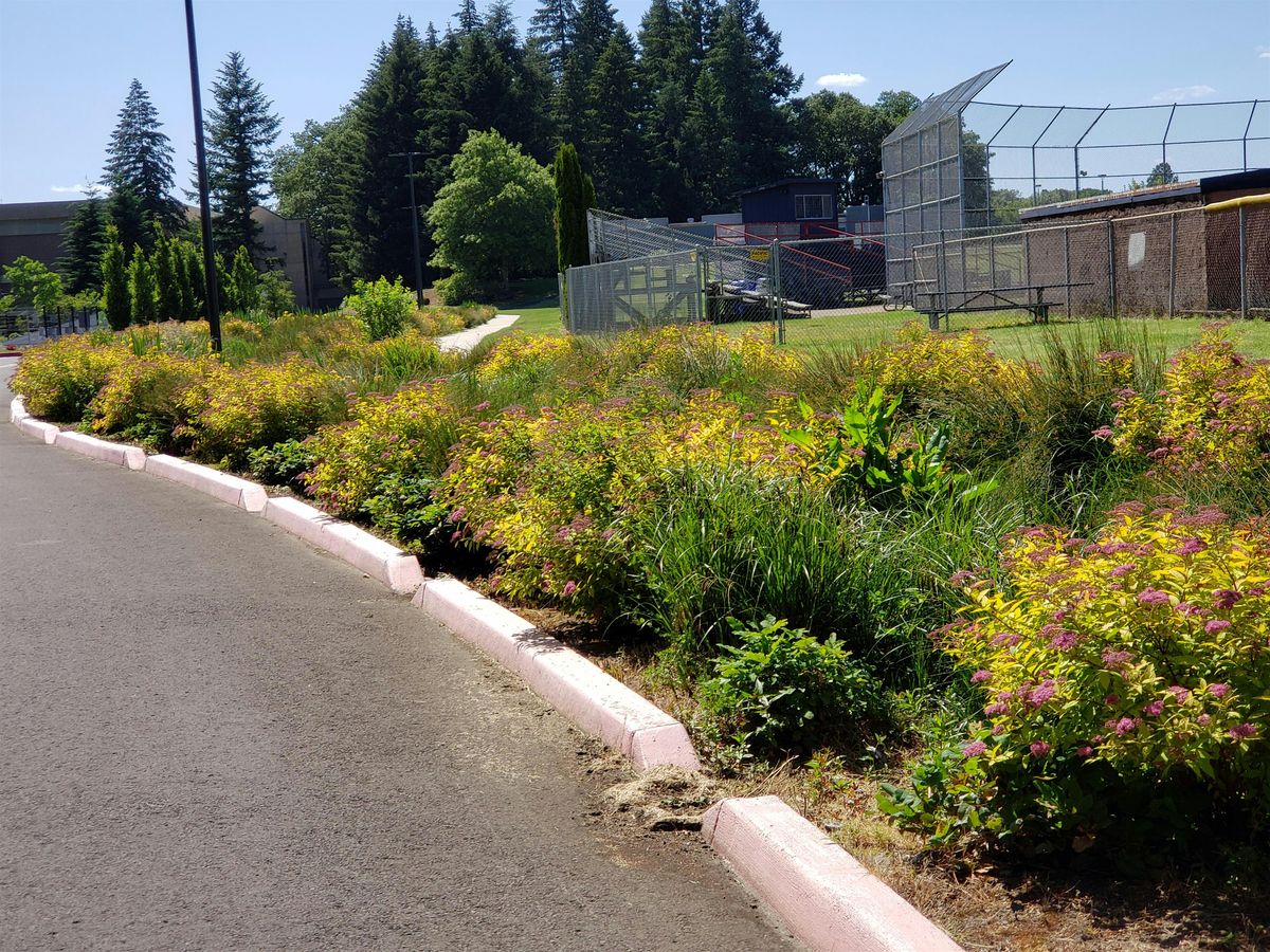 Vegetated Stormwater Facilities 2025