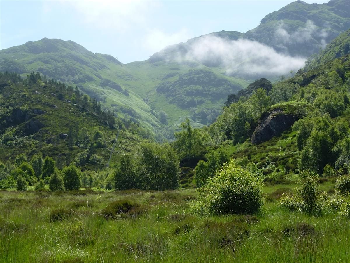 Wild places and tales: John Muir Trust and speaker John D Burns (Edinburgh)