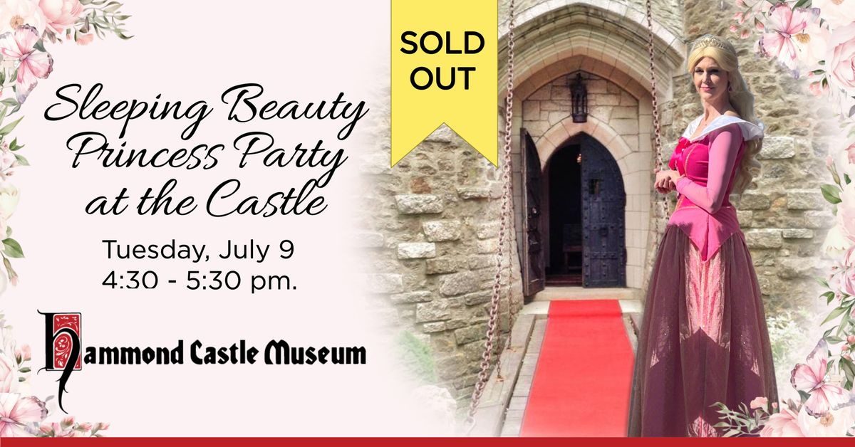 Sleeping Beauty Princess Party at the Castle