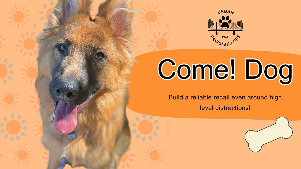 Come! Dog series starting Sun. 6\/16 at 11:15 a.m. *no class 7\/7