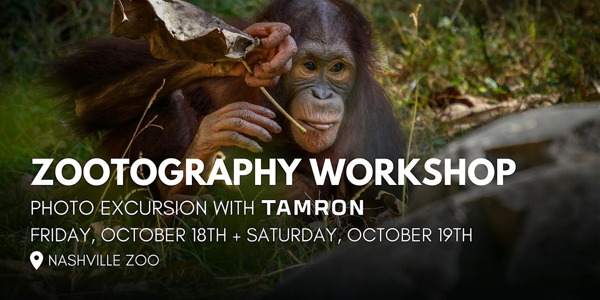 Zootography Workshop - Nashville Zoo at Grassmere