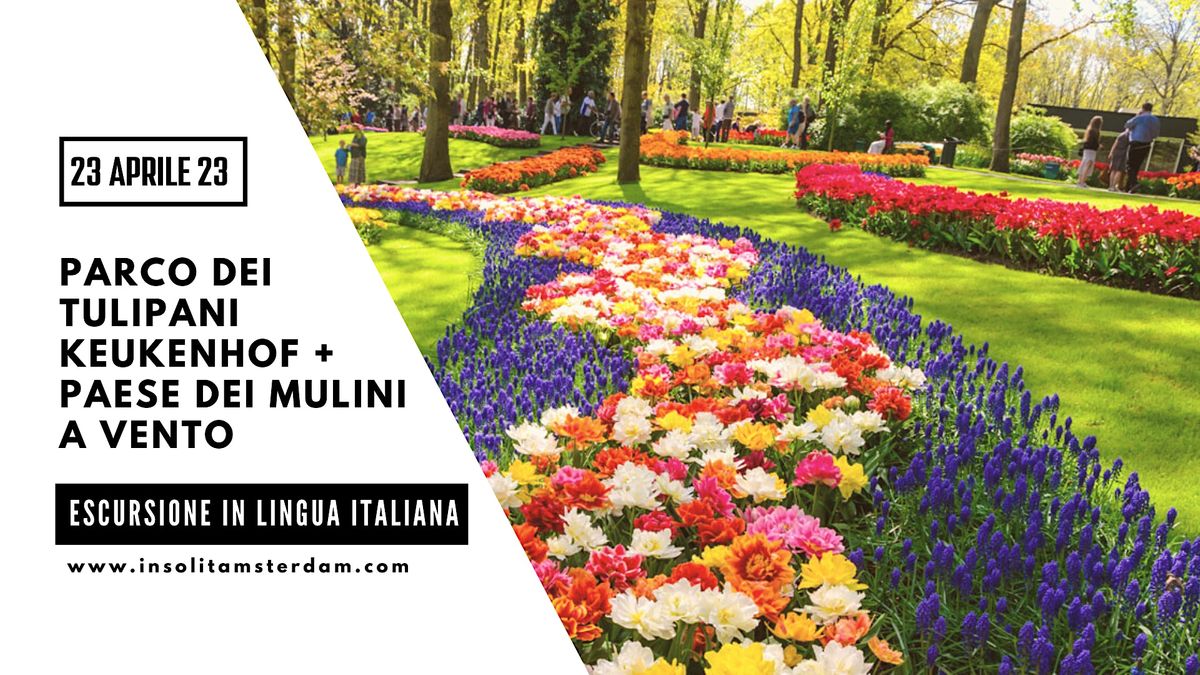 Visita parco dei tulipani e mulini a vento in ITALIANO - 23 aprile 2023