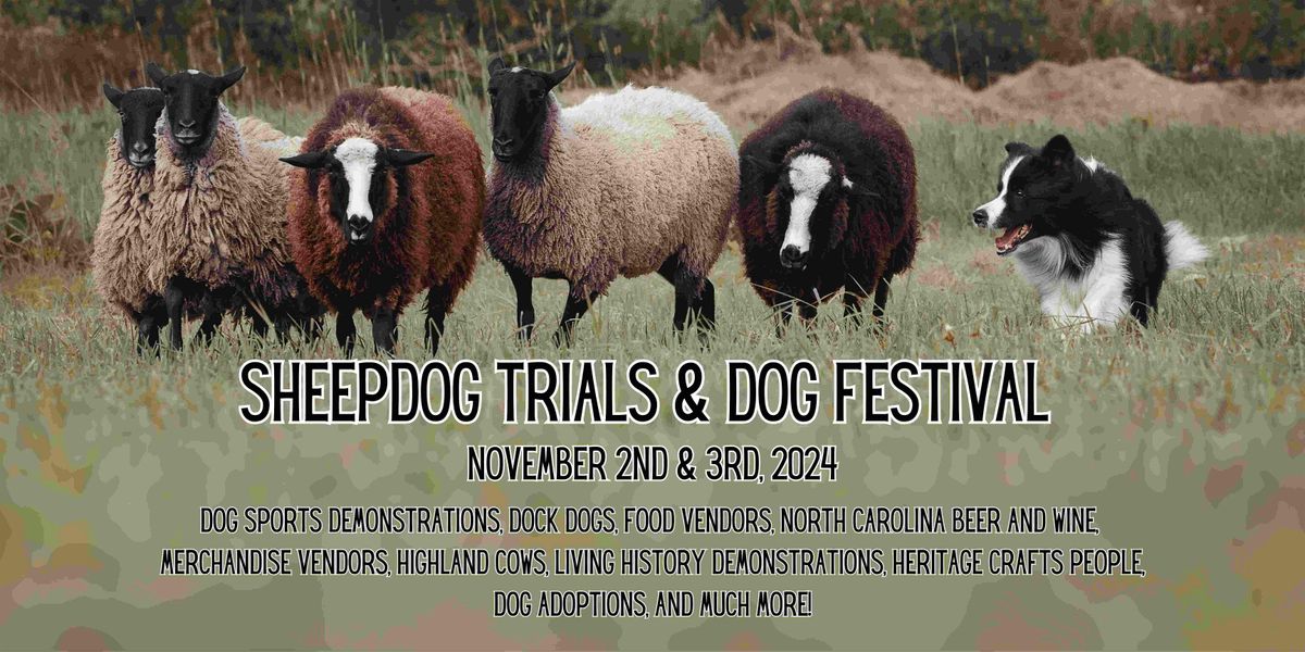 Sheepdog Trials and Dog Festival 2024