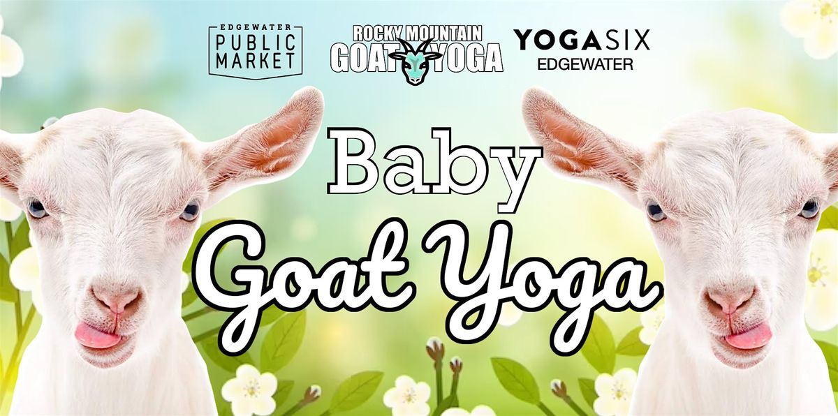 Baby Goat Yoga - September  28th (YOGA SIX - EDGEWATER)