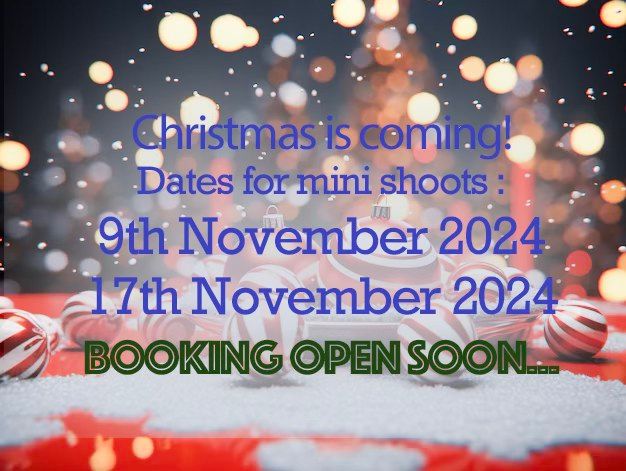 Christmas Mini Shoot - Bexley\/Dartford