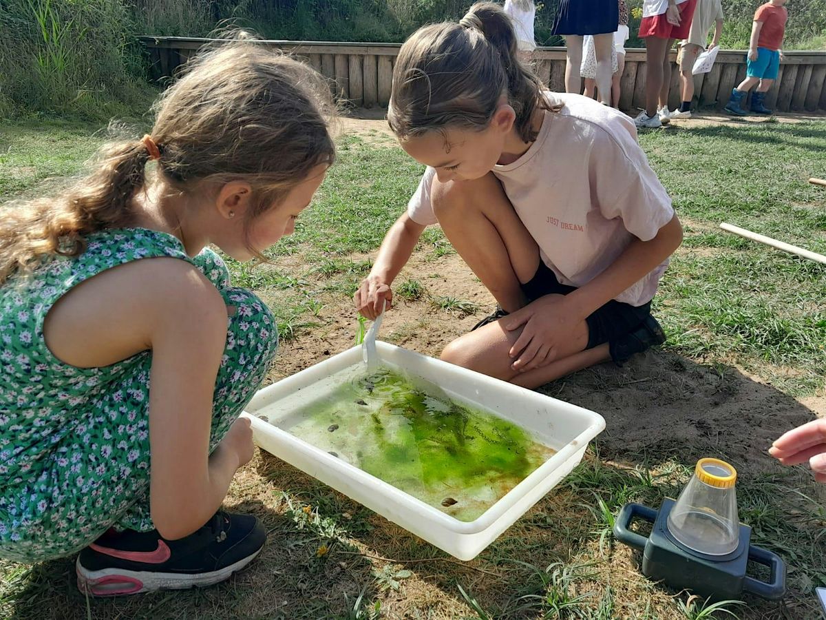 Wild families: Pond dipping (ELC 2511)