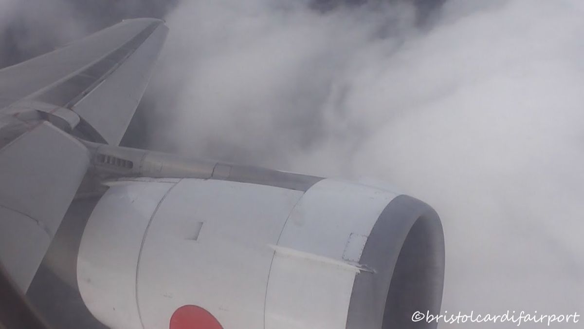 Alberta Pandas Women's Basketball vs. Brandon University Bobcats & Alberta Golden Bears vs. Brandon University Bobcats (DH)