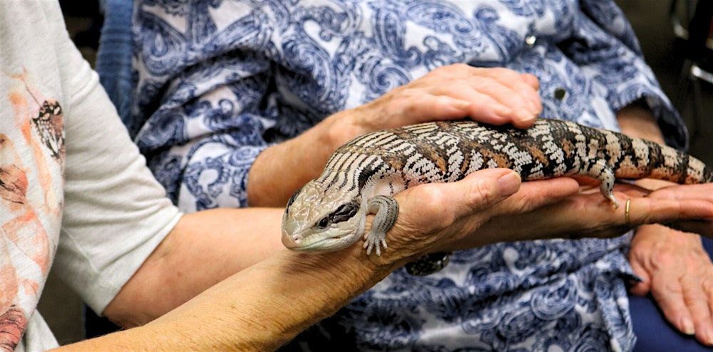 Hello Spring! Something Wild - Wollongong Library