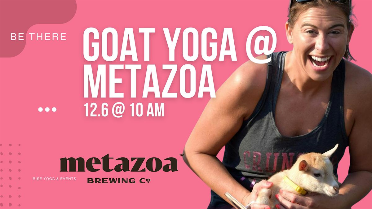 Brews & Lil' Goat Yoga