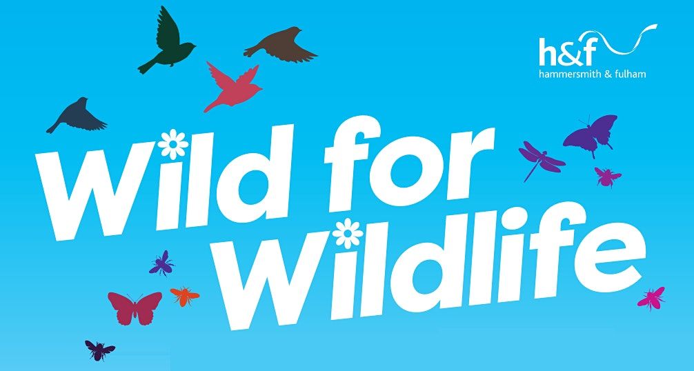 Wild for Wildlife - Wormholt Park