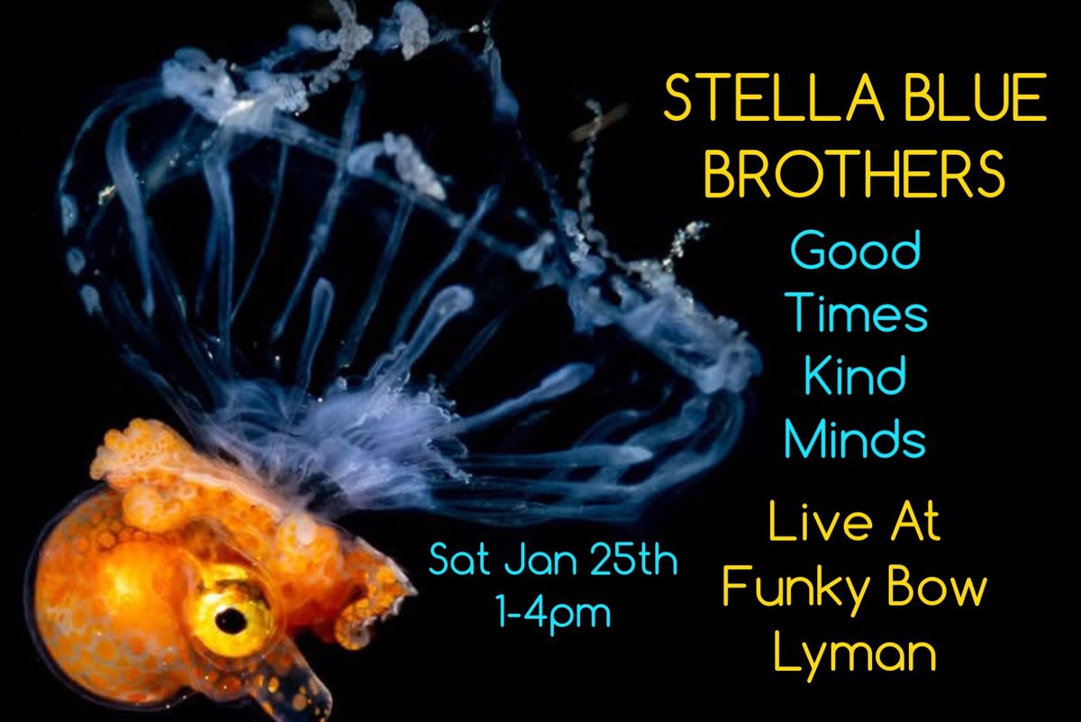 Stellllllaaaa Saturday at Funky Bow 1-4pm