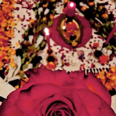 Wild Heart Pilgrimage