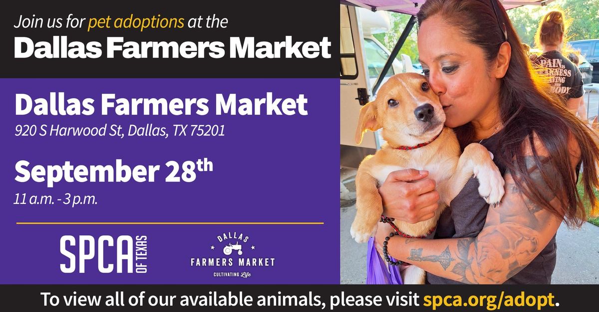 Pet Adoptions at Dallas Farmers Market