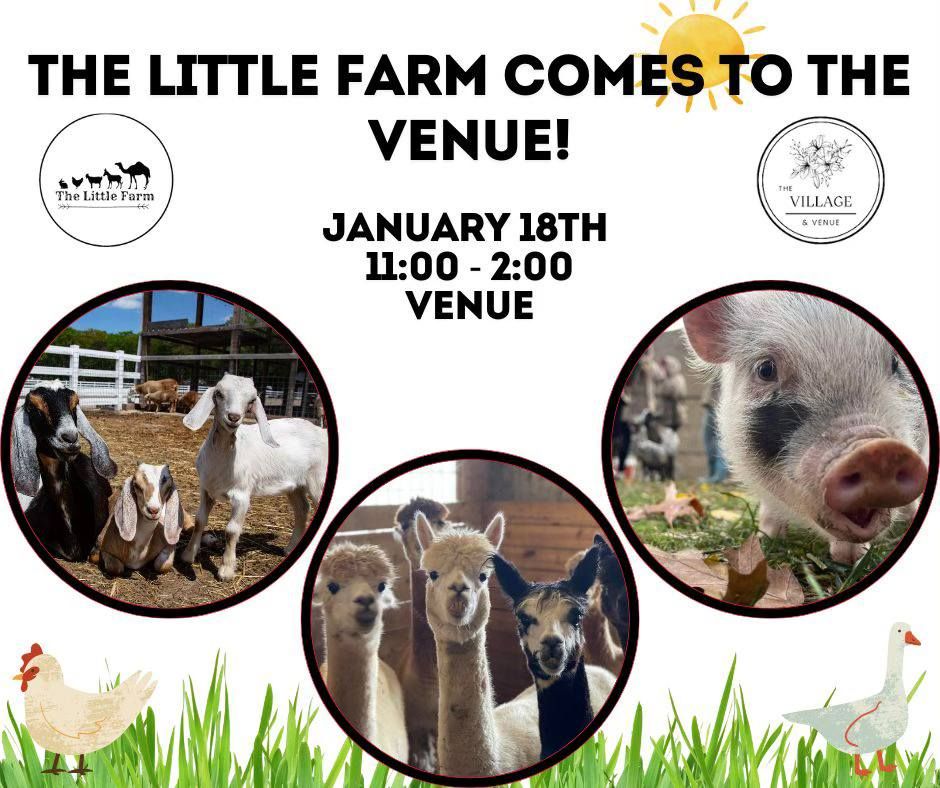 The Little Farm comes to The Village!