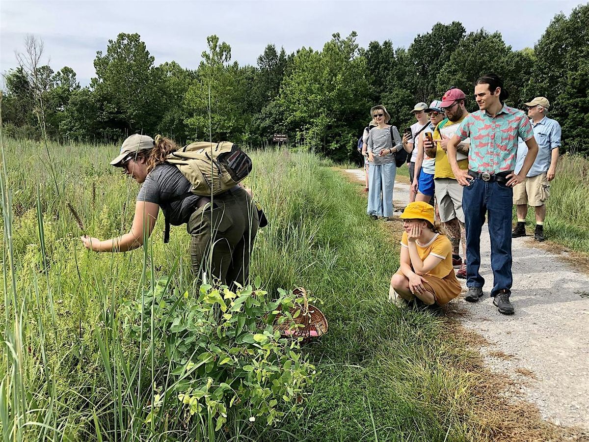 Autumn Equinox Nature Hike & Journaling with Cydney Ross