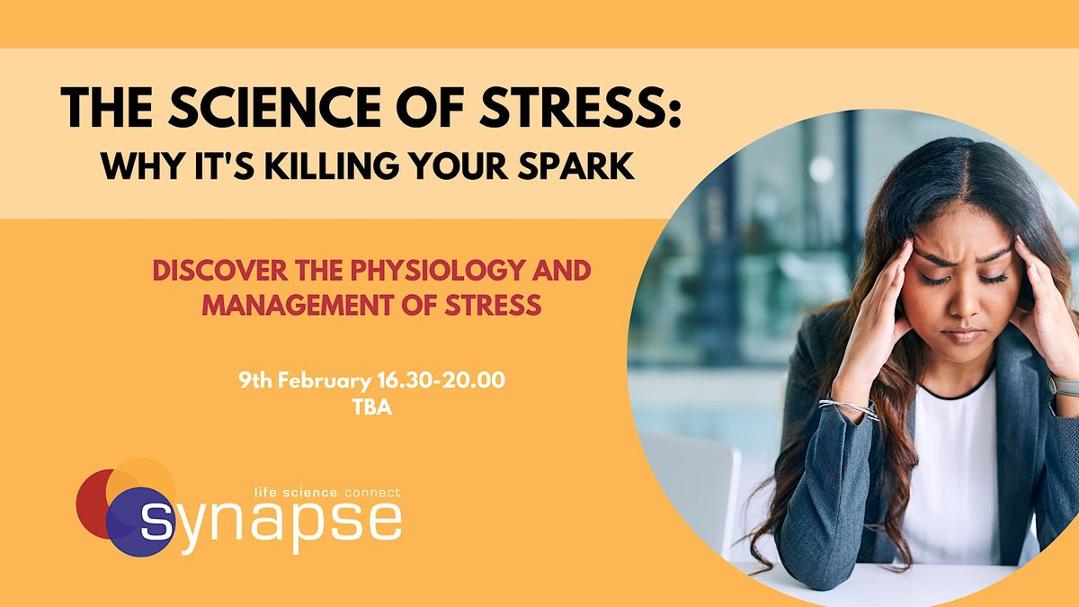The Science of Stress: Why it's Killing your Spark