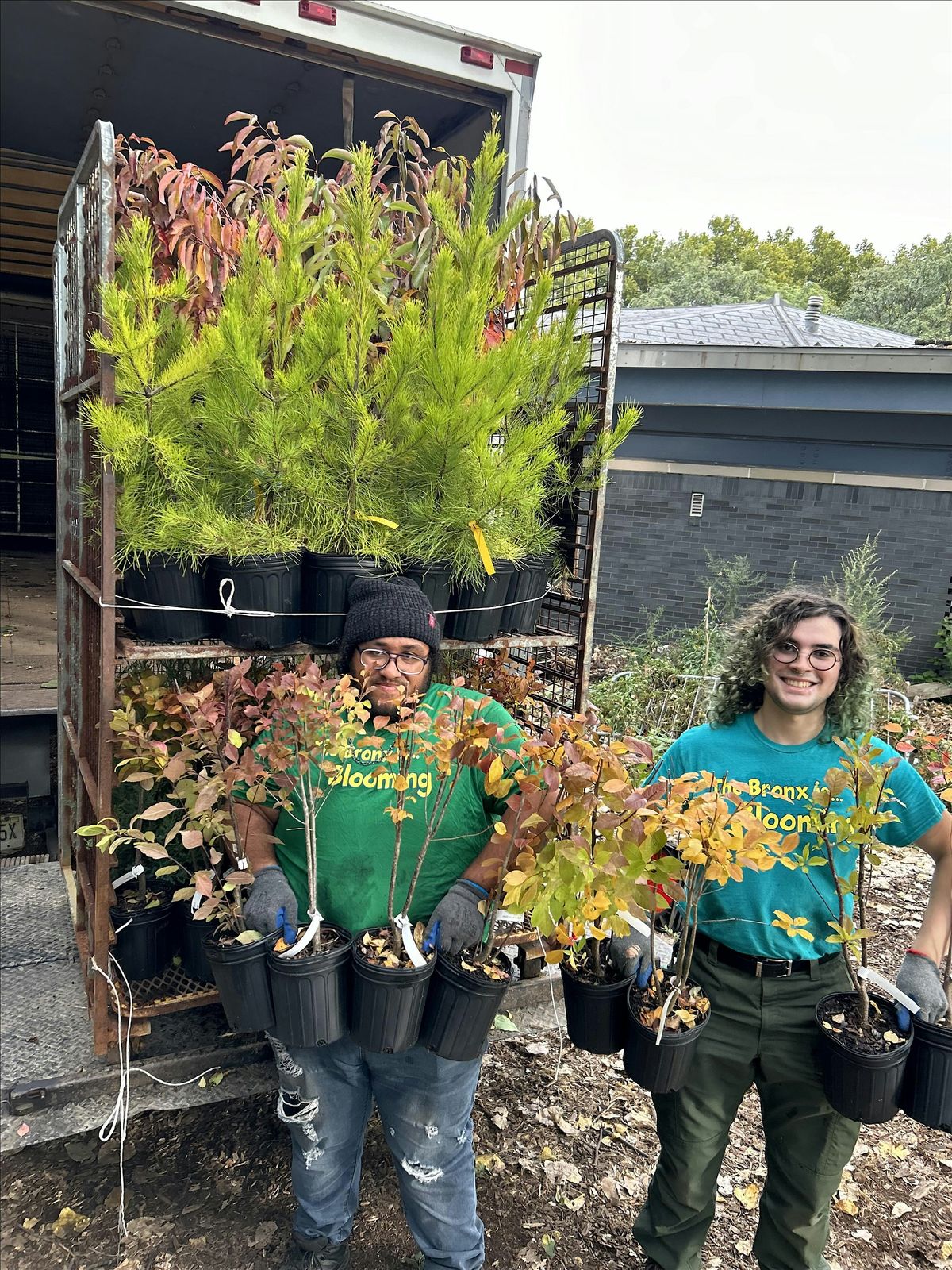 Highbridge Community Tree Planting