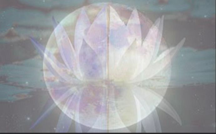 Full Moon Sound Bath, Yin Yoga & Guided Meditation with Blue Lotus