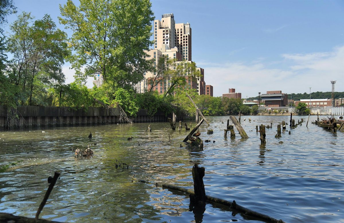 Walking the Harlem River: Hidden Shorelines and New Developments