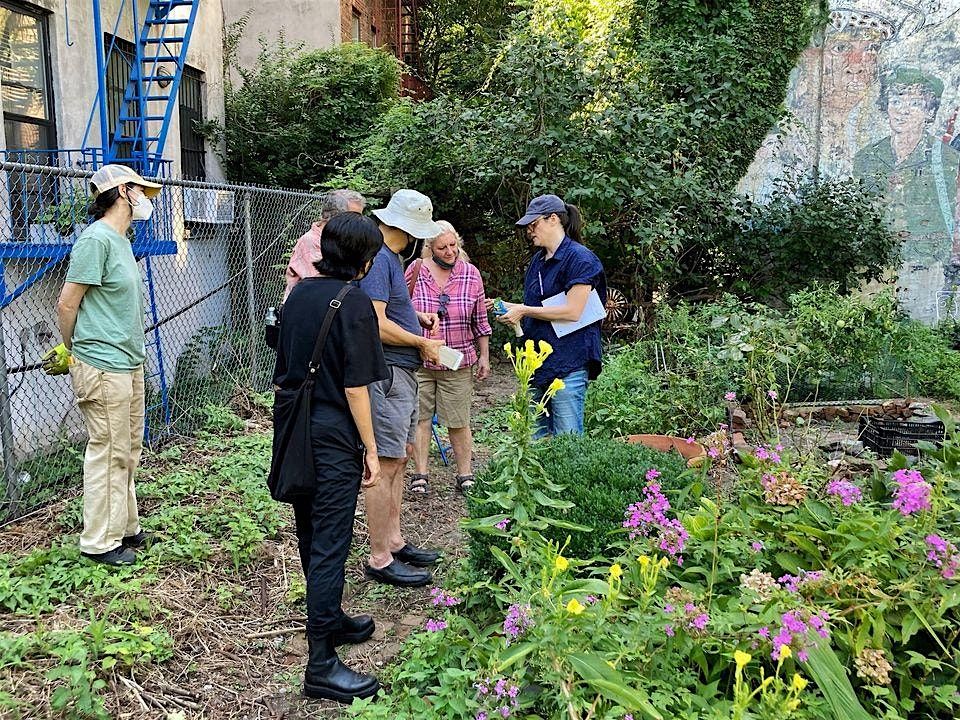 La Plaza Cultural Garden Volunteer Day