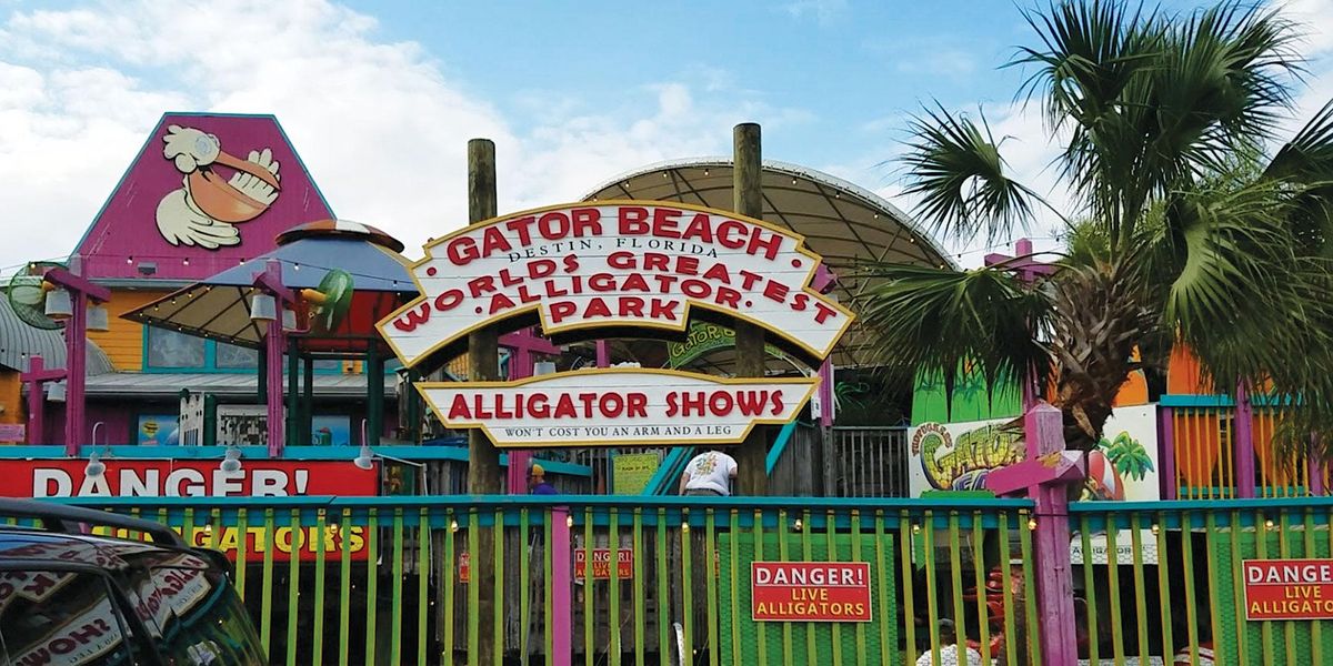 Gator Experience VIP 2022, Fudpucker's Gator Beach, Destin, 21 November ...