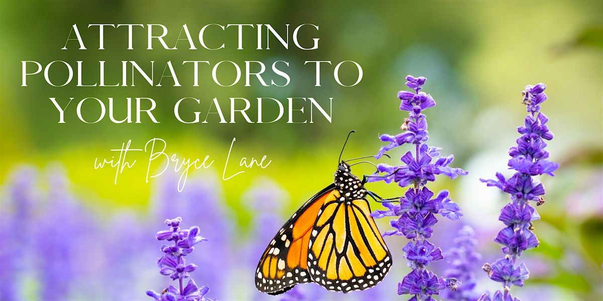 Attracting Pollinators to Your Garden with Bryce Lane