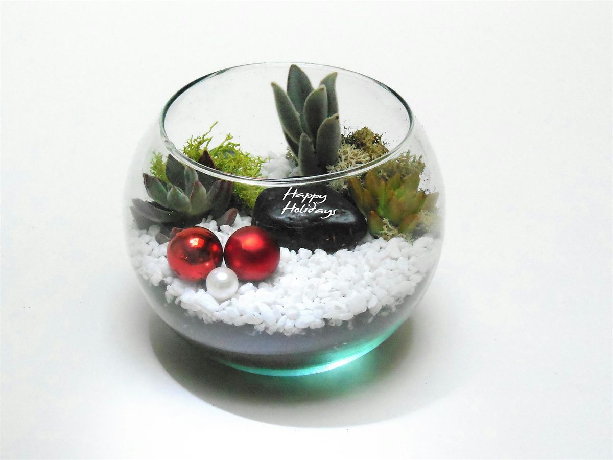 Family Plant Party: Make a Succulent Terrarium