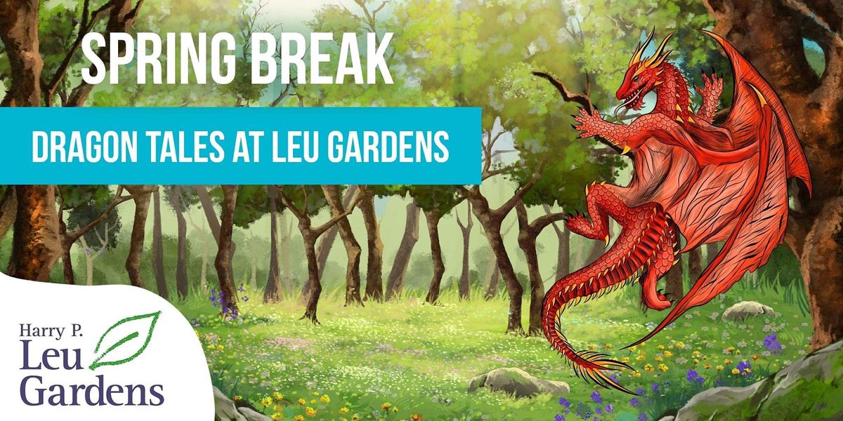Dragon Tales Spring Break Camp with Orlando REP!