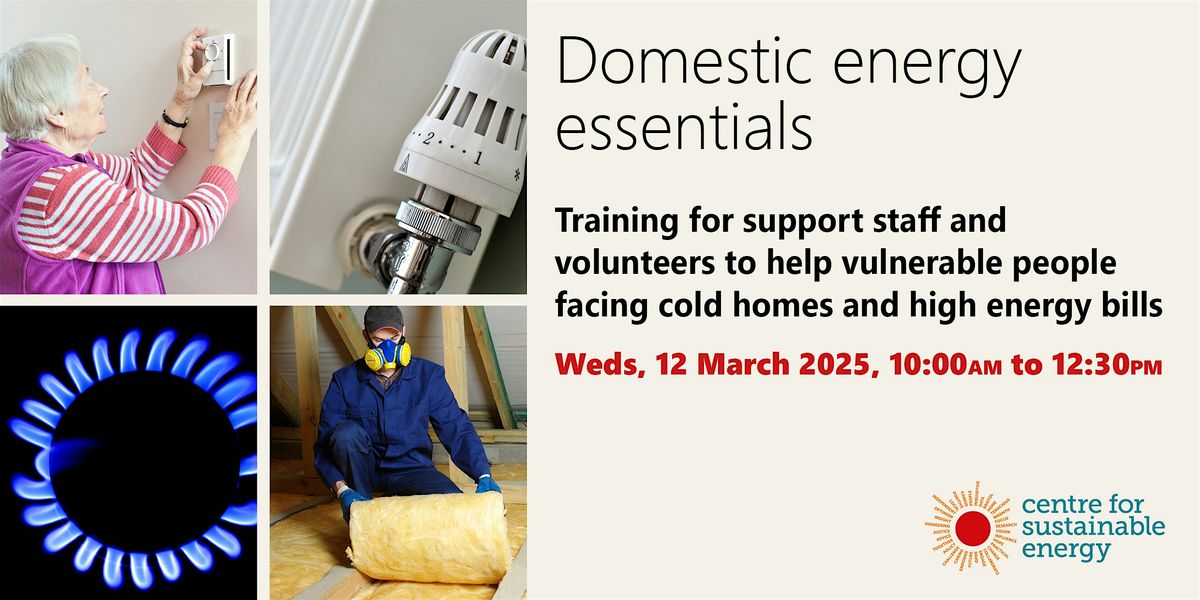 Domestic Energy Essentials - in person