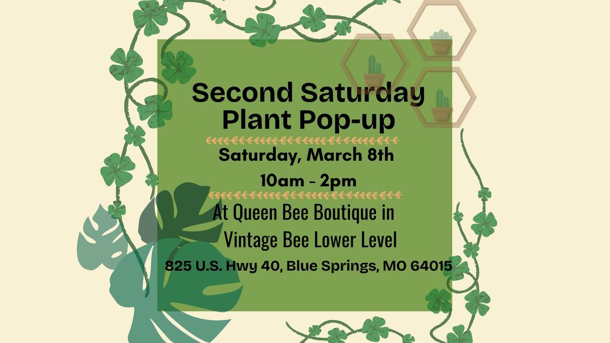 Plant Pop-up At Queen Bee Boutiques 