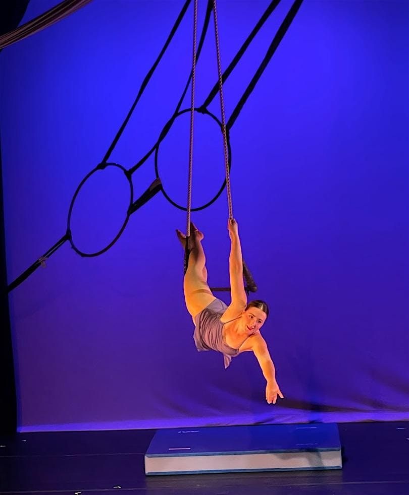 ACOD Adult Aerial Performance Company - How The Cards Fall