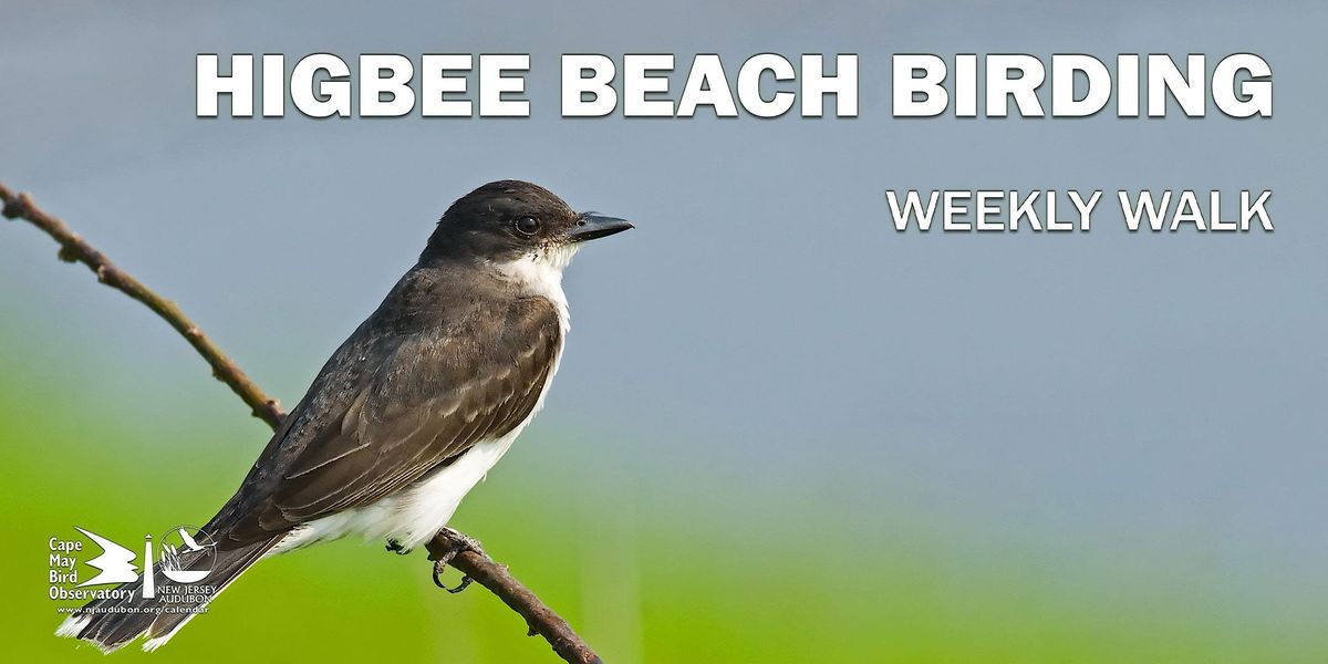 Higbee Beach Birding, Higbee Beach WMA, Cape May, 2 September 2022