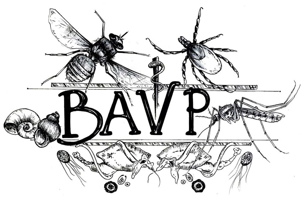BAVP Annual Meeting 2024