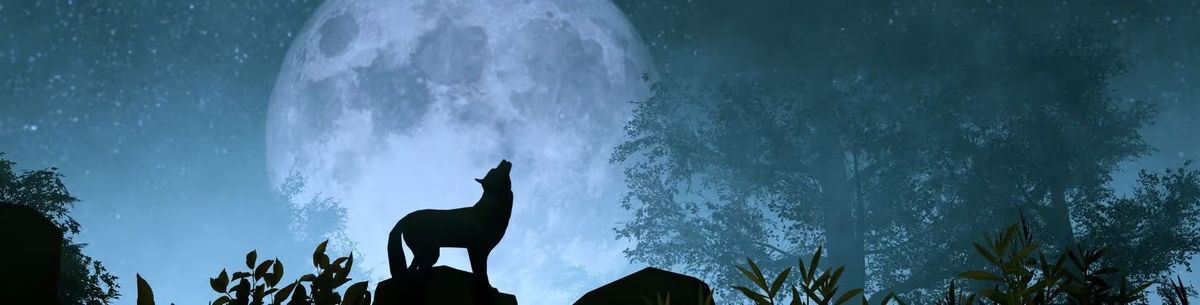 Wolf Moon Yoga