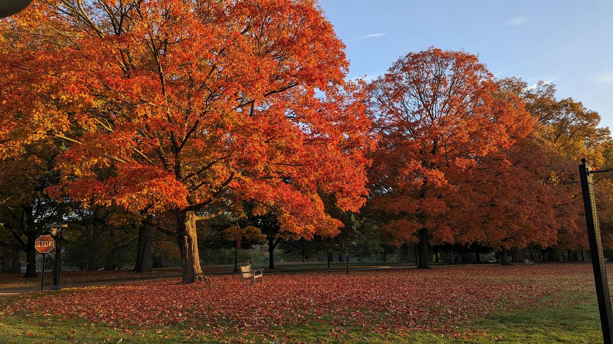 Arboretum Director Collection Tour