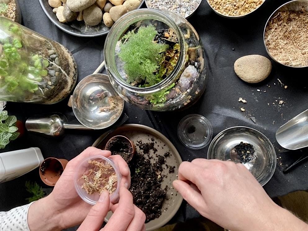 One Gallon BioActive Terrarium Workshop: Friday May 24th , 6-8pm