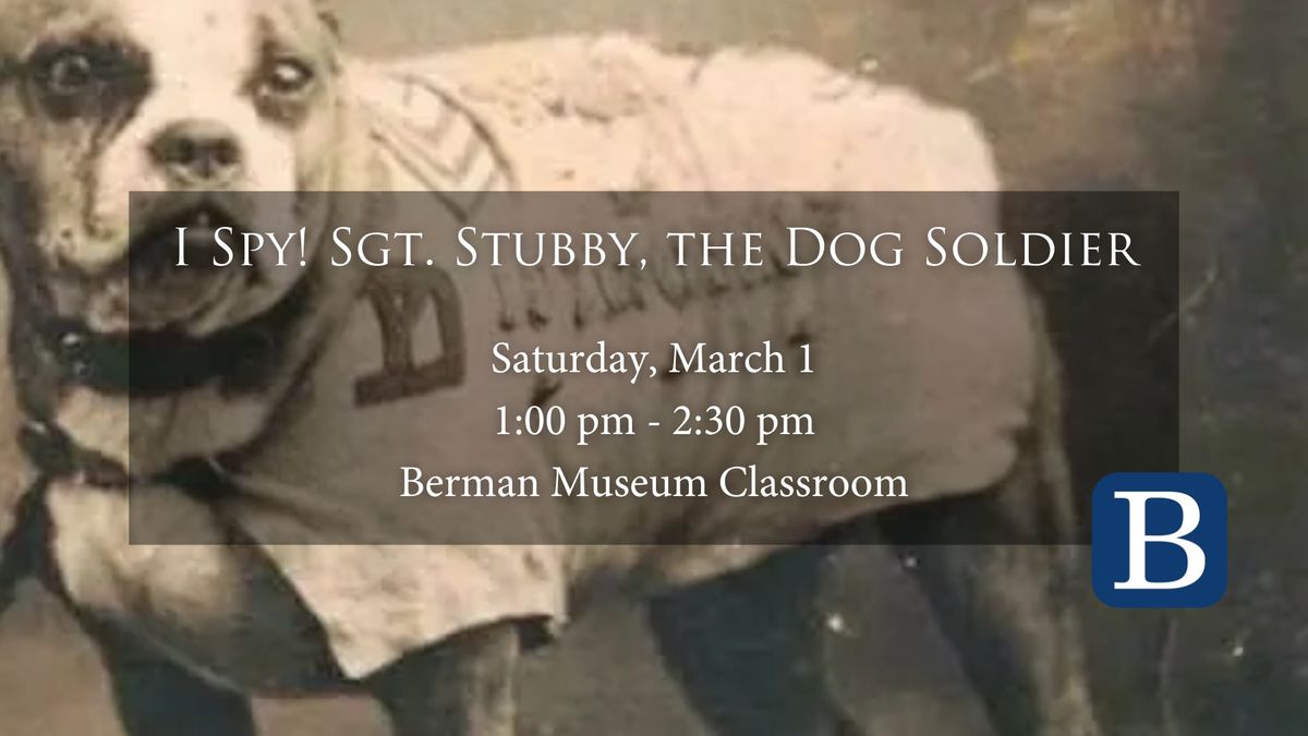 I Spy! Sgt. Stubby, the Dog Soldier