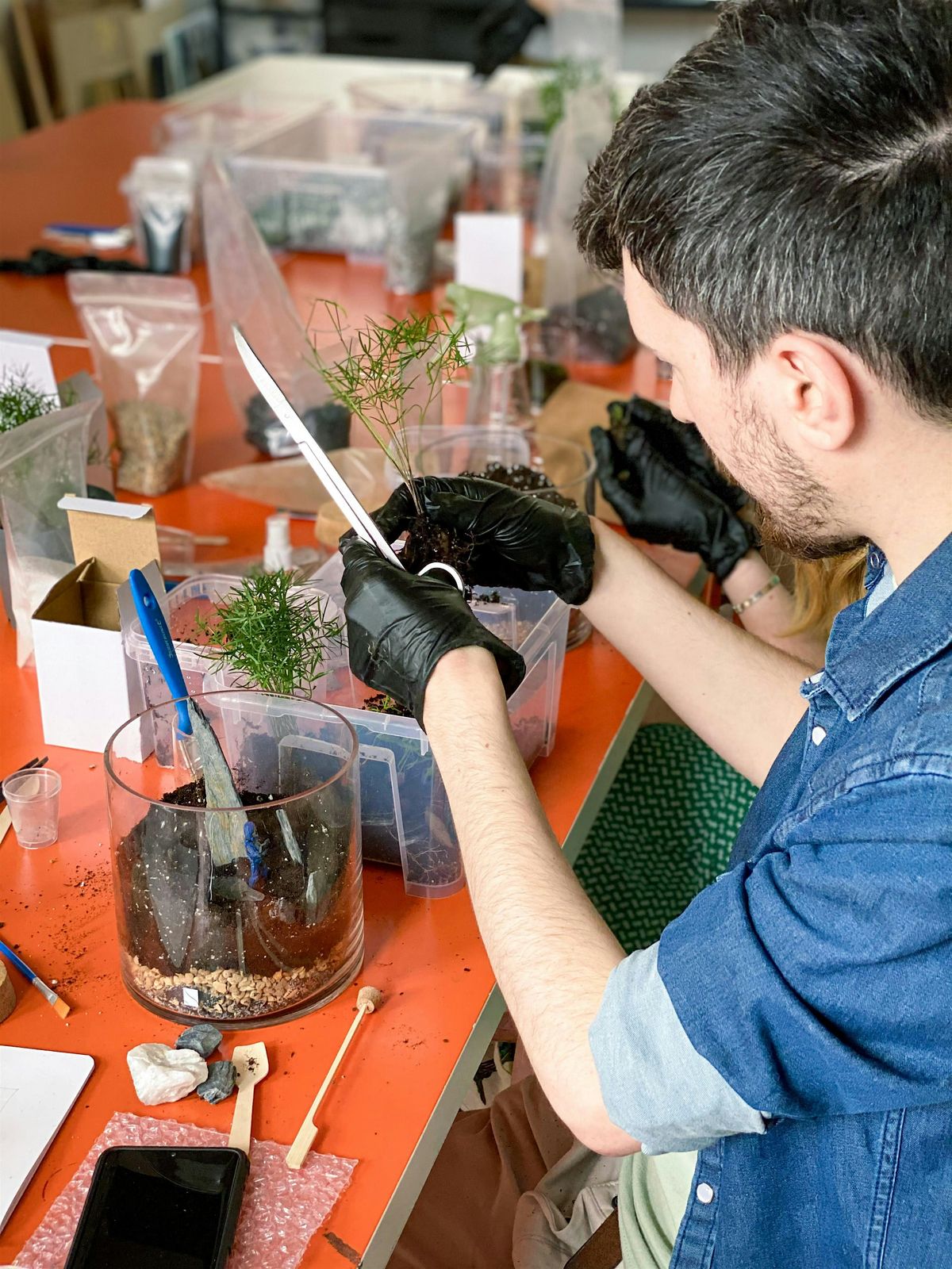 The Art of Terrarium Building - with Kerim (Earth & Water)