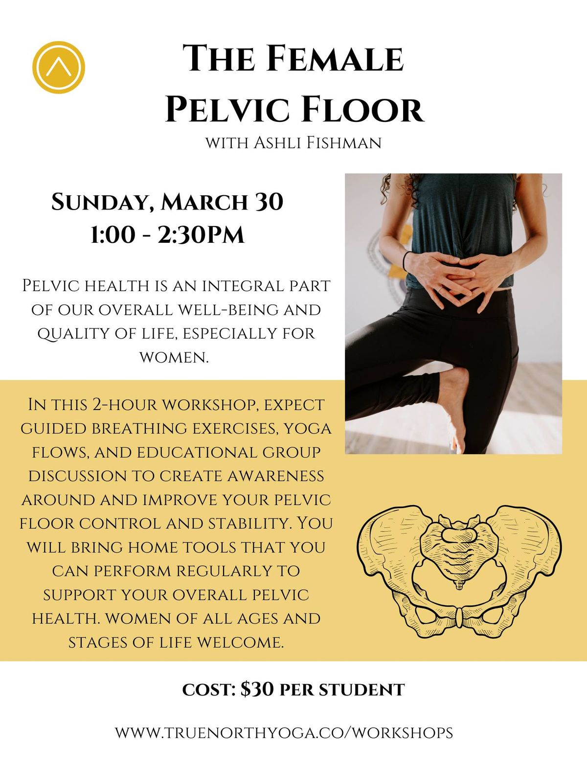 The Female Pelvic Floor